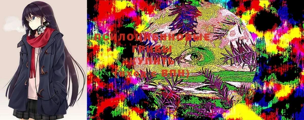 герыч Арсеньев